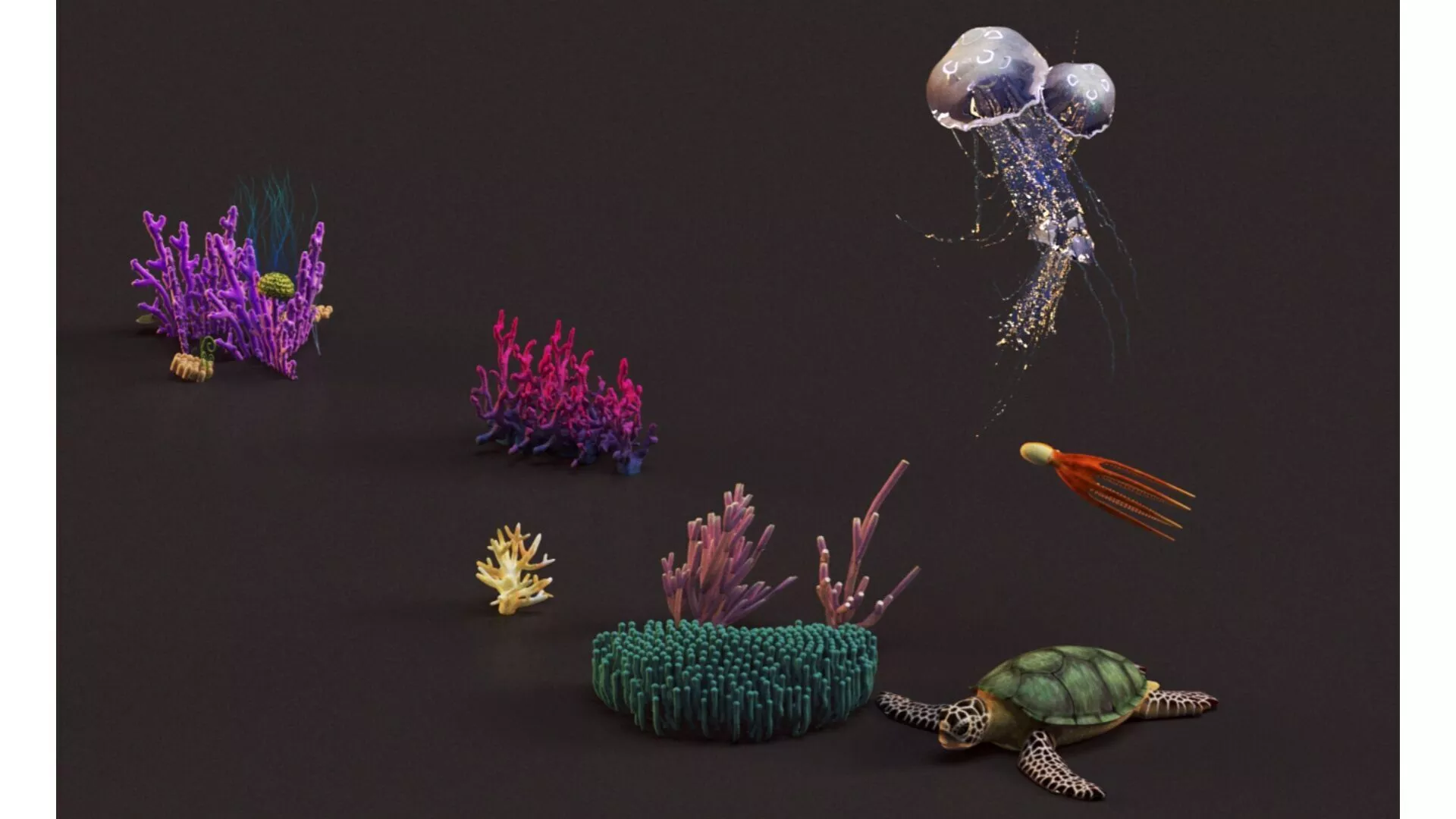 Coral an underwater marine organism 3D model