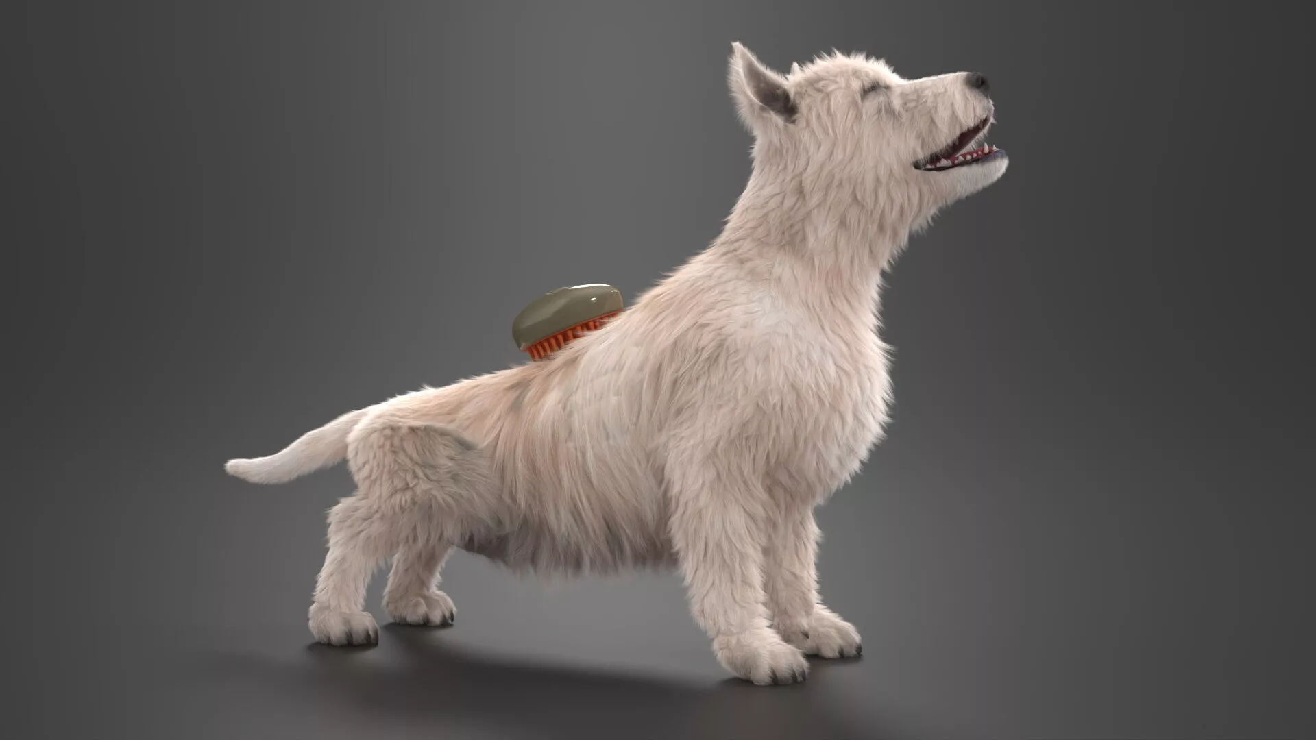 Pet Steam Brush for Terrier Coat Olive Fur 3D model