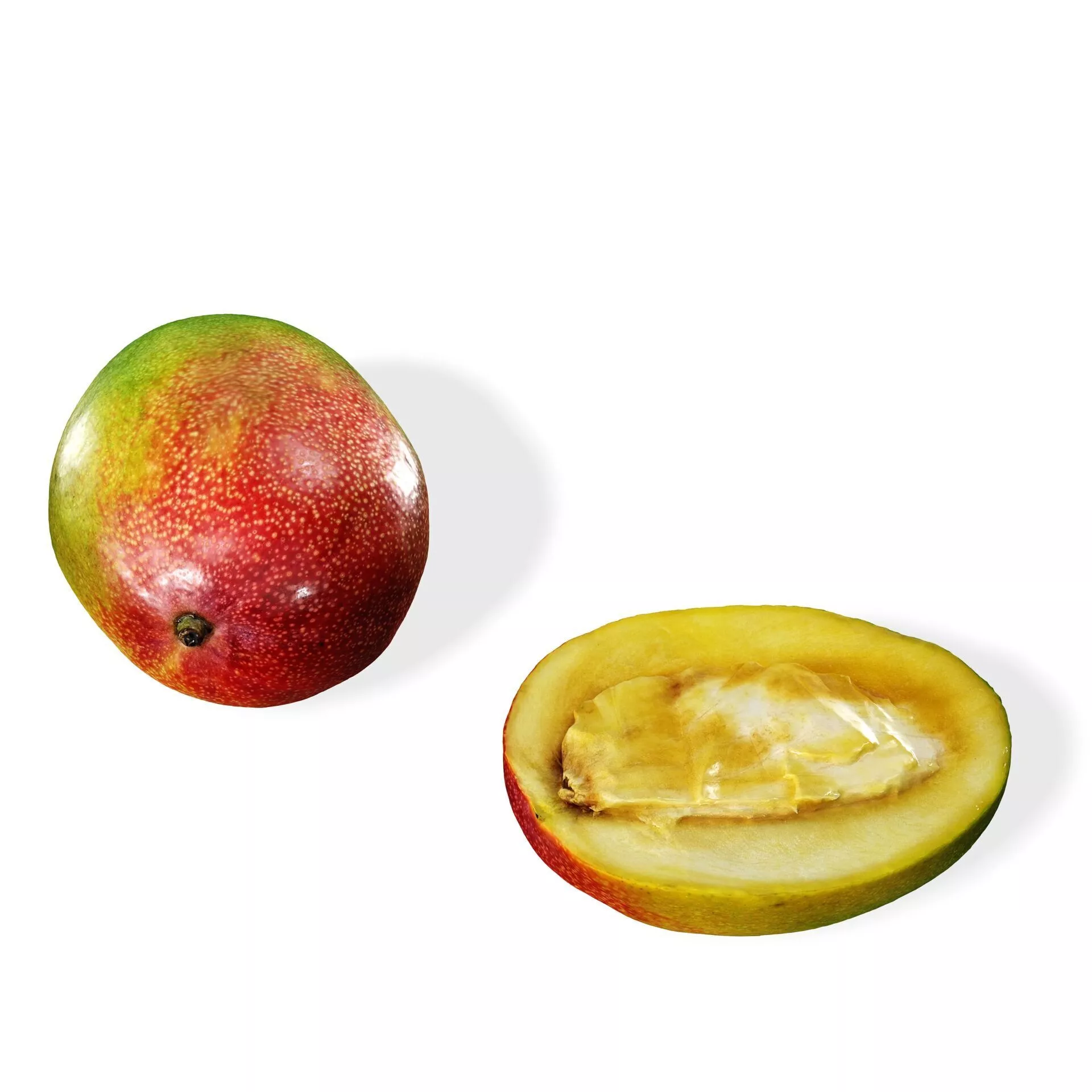 MANGO FRUIT TROPICAL GARDEN FOREST HOME Free 3D print model