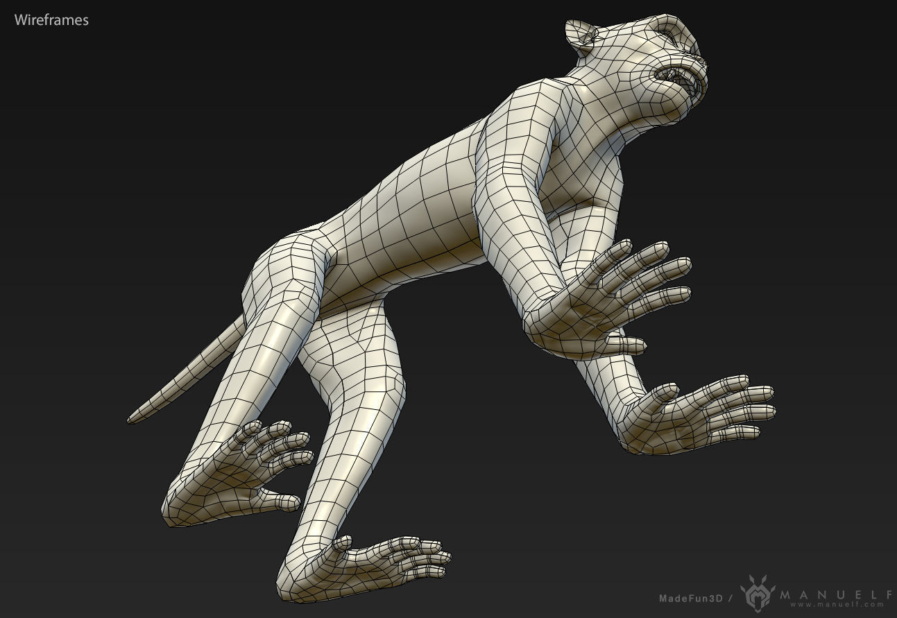 Rhesus Macaque 3D Monkey - PBR  Low-poly 3D model_14