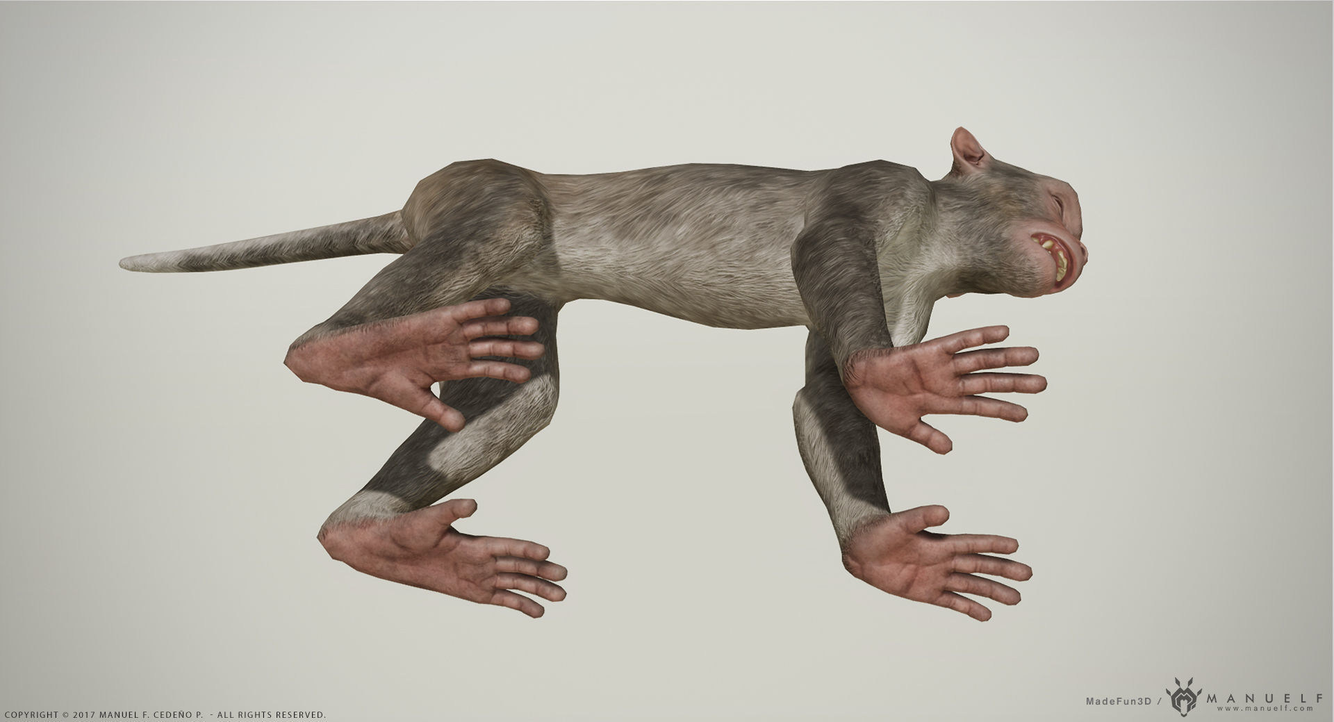 Rhesus Macaque 3D Monkey - PBR  Low-poly 3D model_6