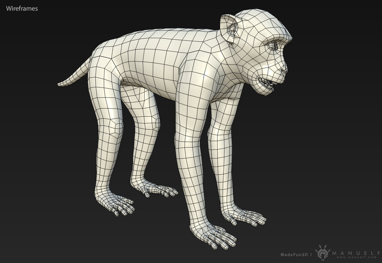 Rhesus Macaque 3D Monkey - PBR  Low-poly 3D model_11