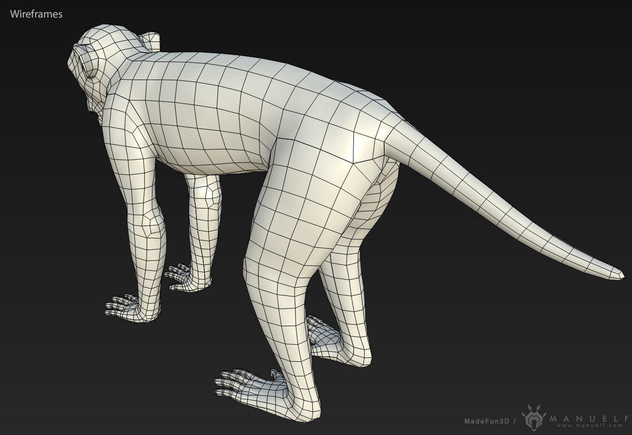 Rhesus Macaque 3D Monkey - PBR  Low-poly 3D model_13