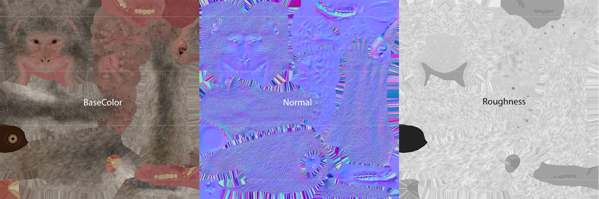 Rhesus Macaque 3D Monkey - PBR  Low-poly 3D model_10