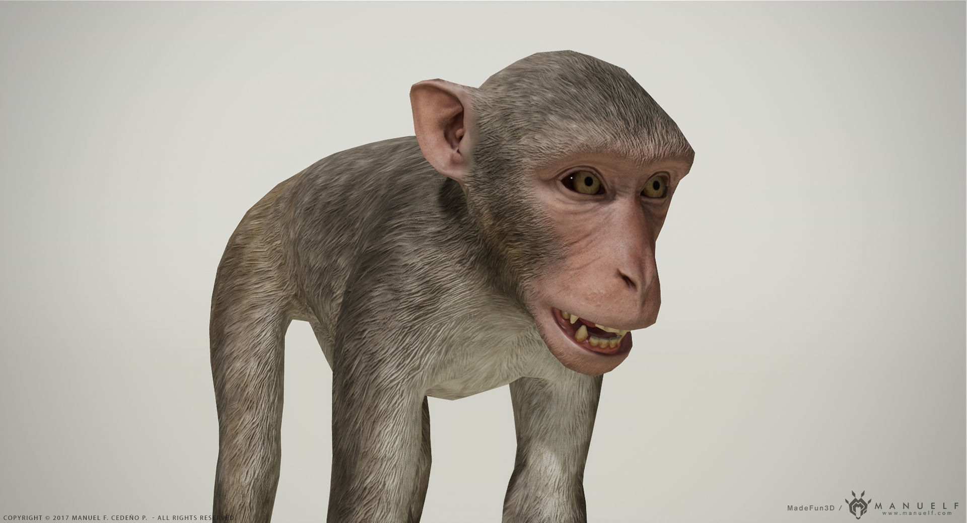Rhesus Macaque 3D Monkey - PBR  Low-poly 3D model_1