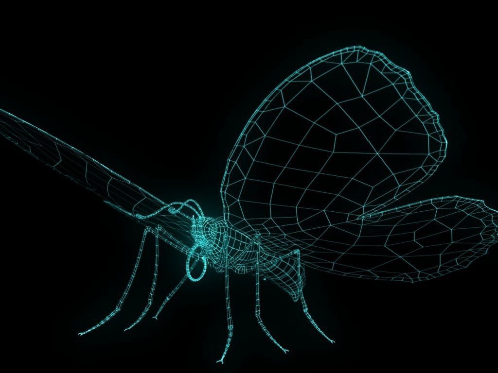 Butterfly Low-poly 3D model_11