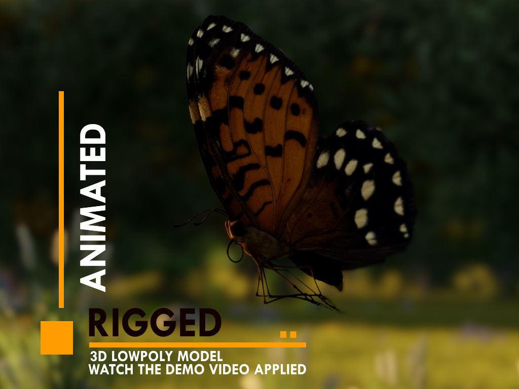 Butterfly Low-poly 3D model_26