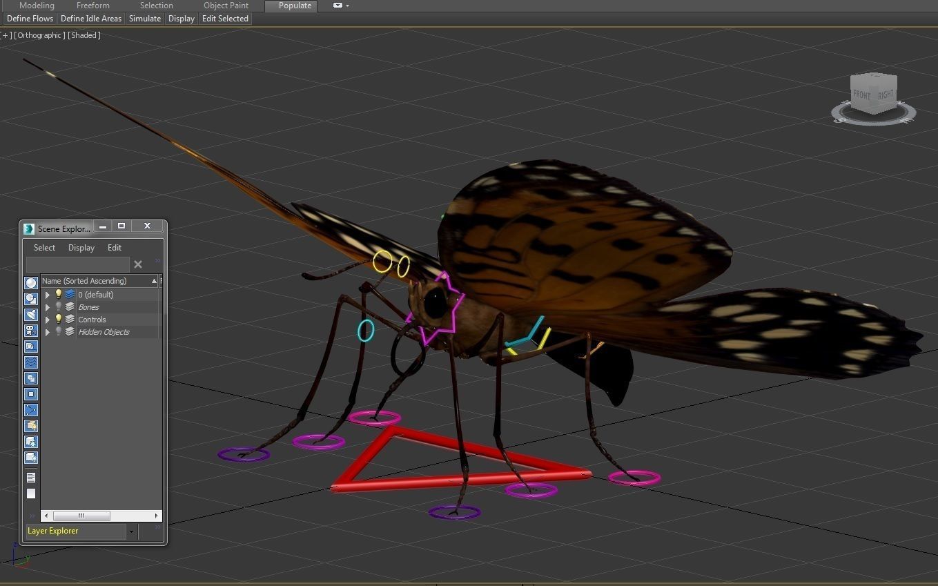 Butterfly Low-poly 3D model_14