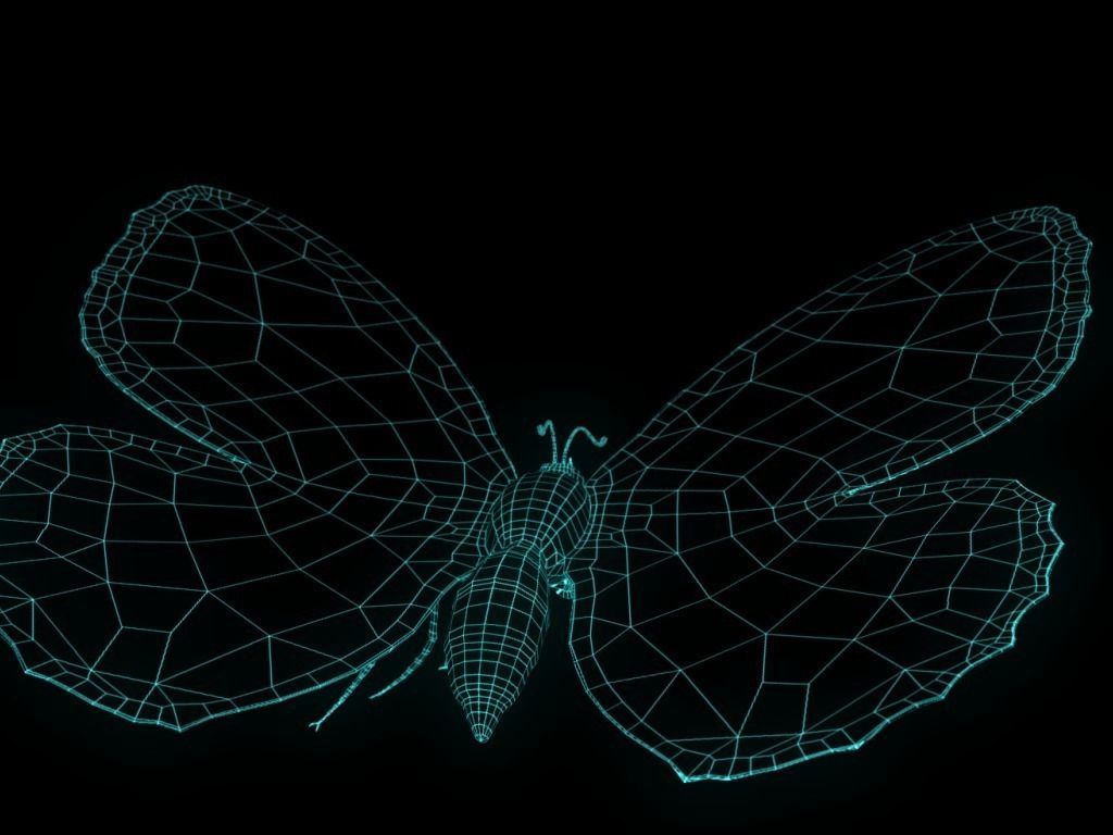 Butterfly Low-poly 3D model_13