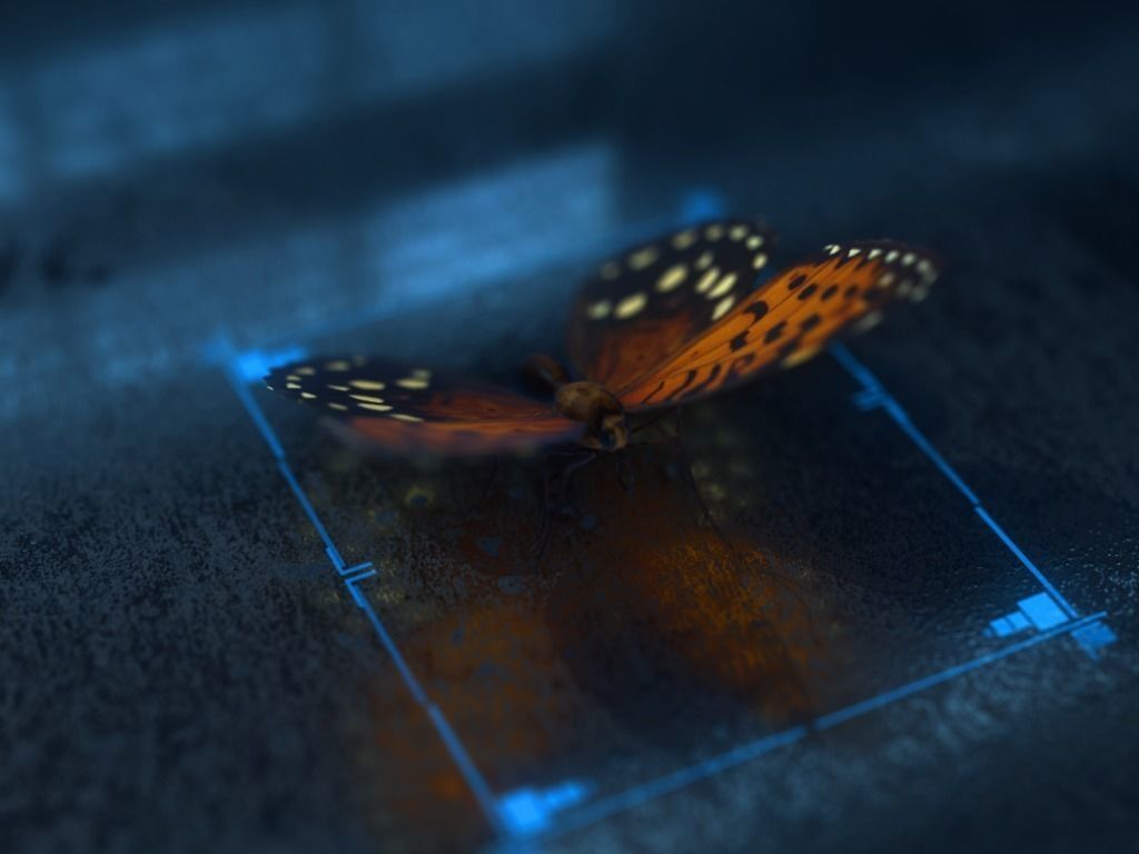 Butterfly Low-poly 3D model_19