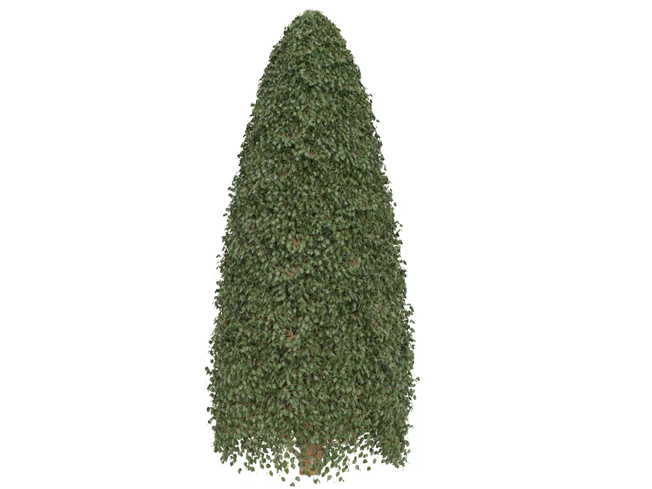 NMA Bush 002-1 Low-poly 3D model