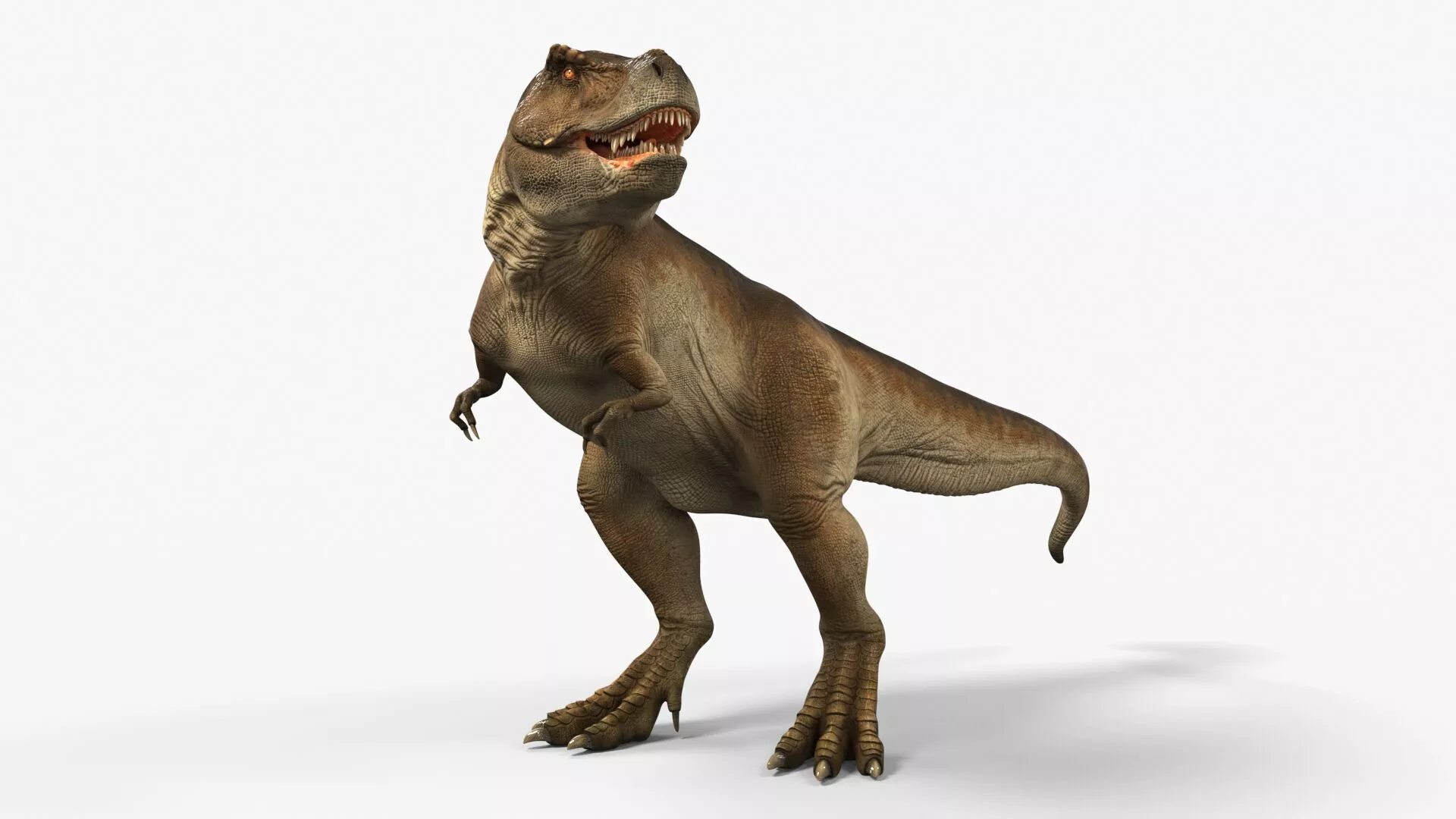 Tyrannosaurus Rex Dinosaur Rigged for Cinema 4D 3D model