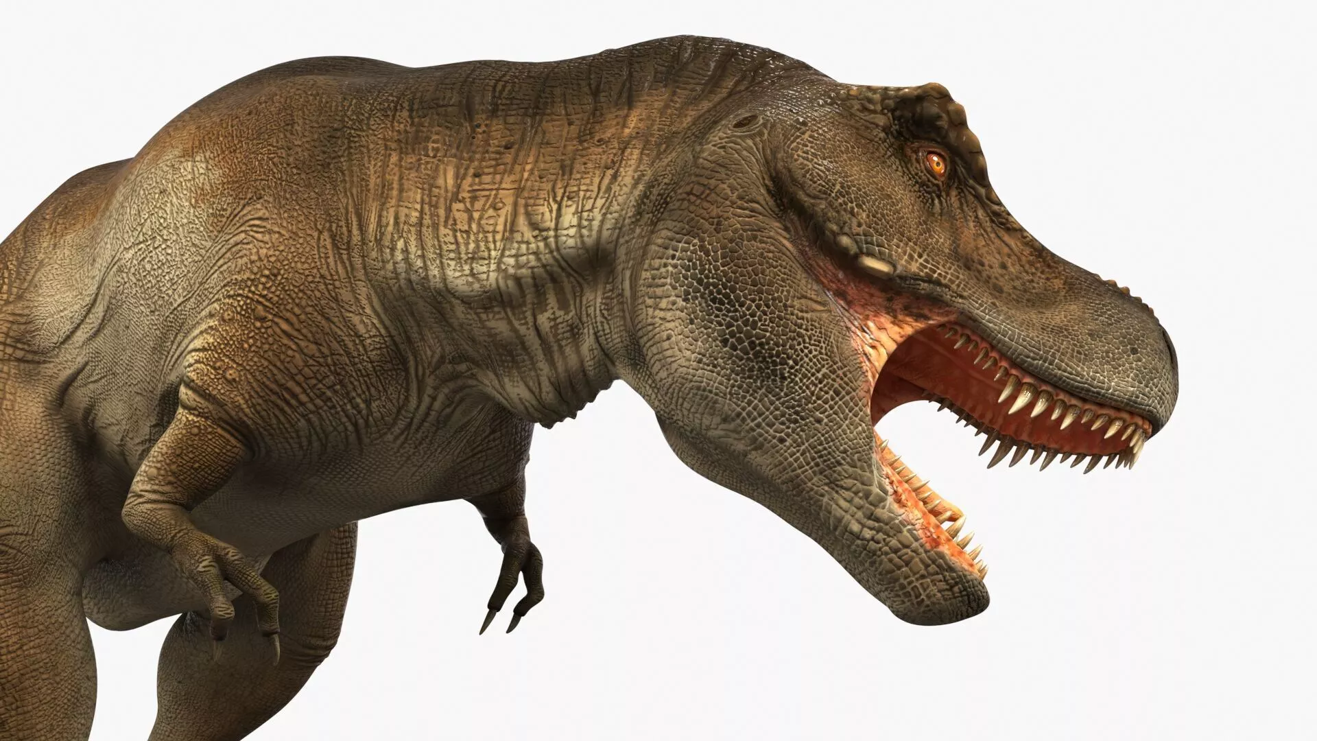 Tyrannosaurus Rex Dinosaur Rigged for Maya 3D model
