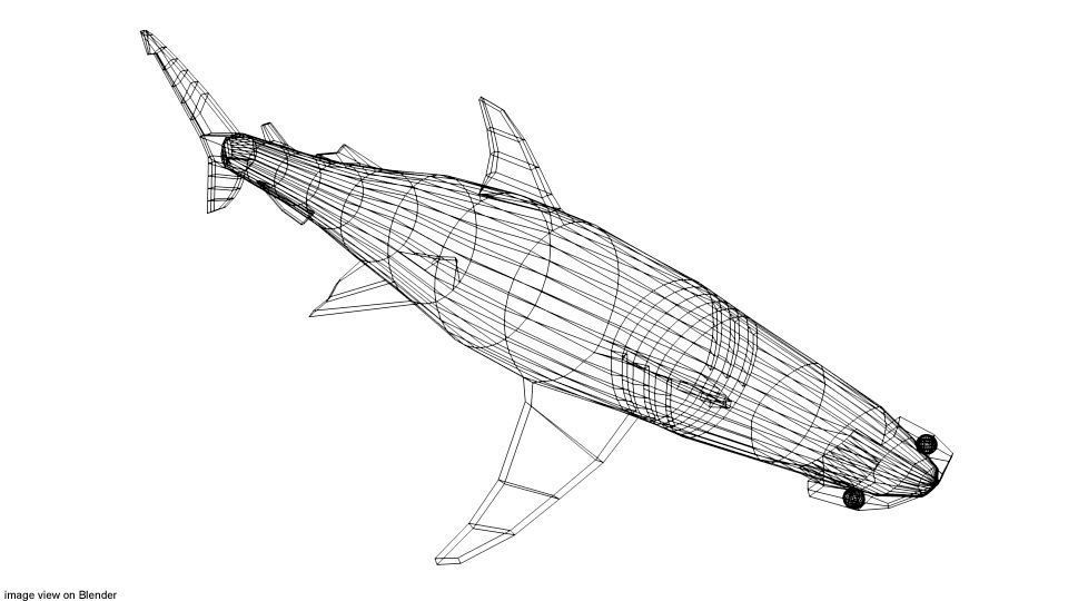 Shark - Bonnethead 3D model_3