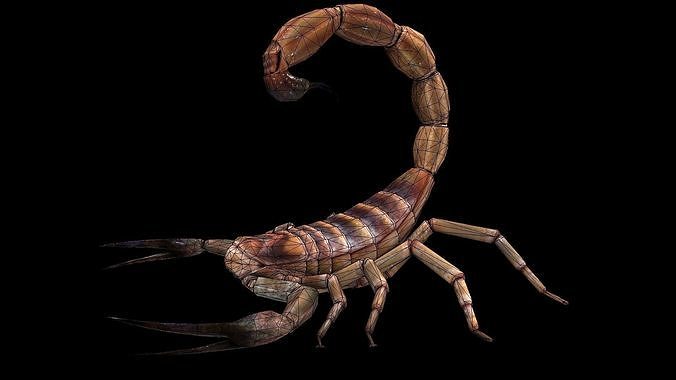 Scorpion High Quality  Low-poly 3D model