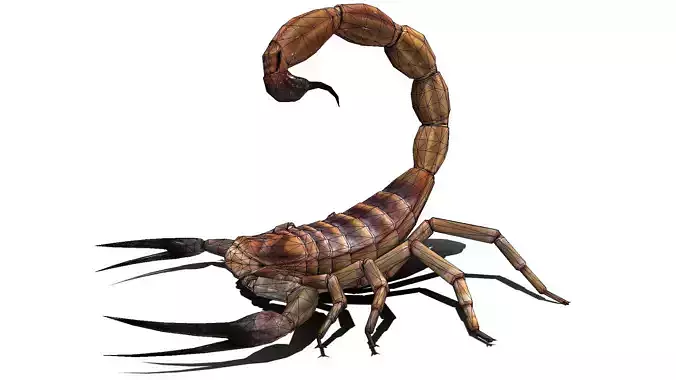 Scorpion High Quality  Low-poly 3D model