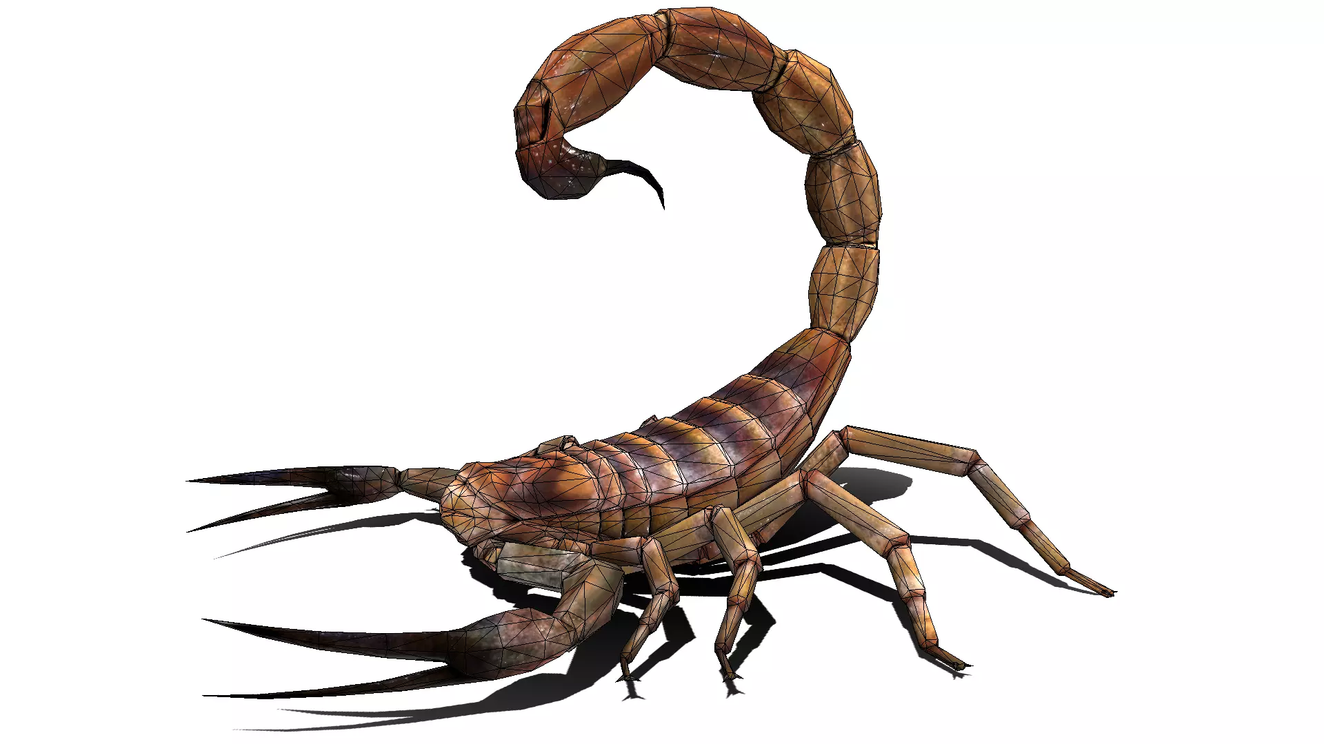 Scorpion High Quality Low-poly 3D model_0