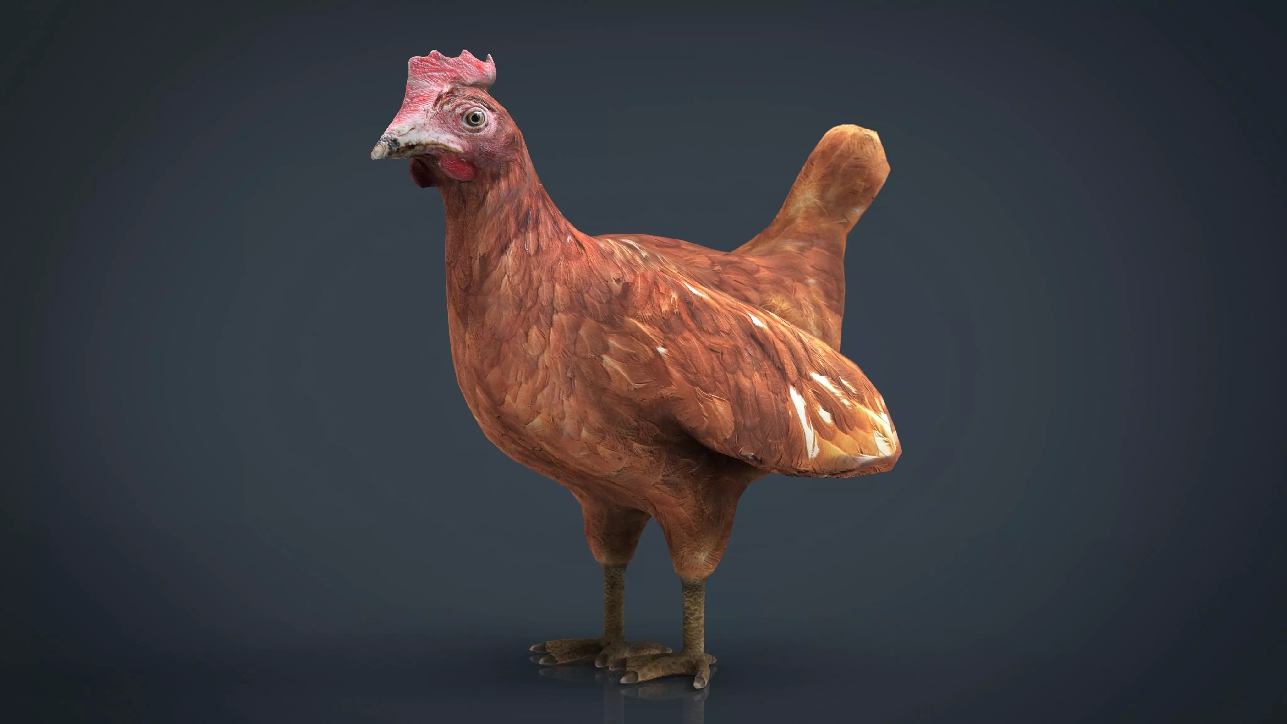 Chiken rooster Low-poly 3D model_0