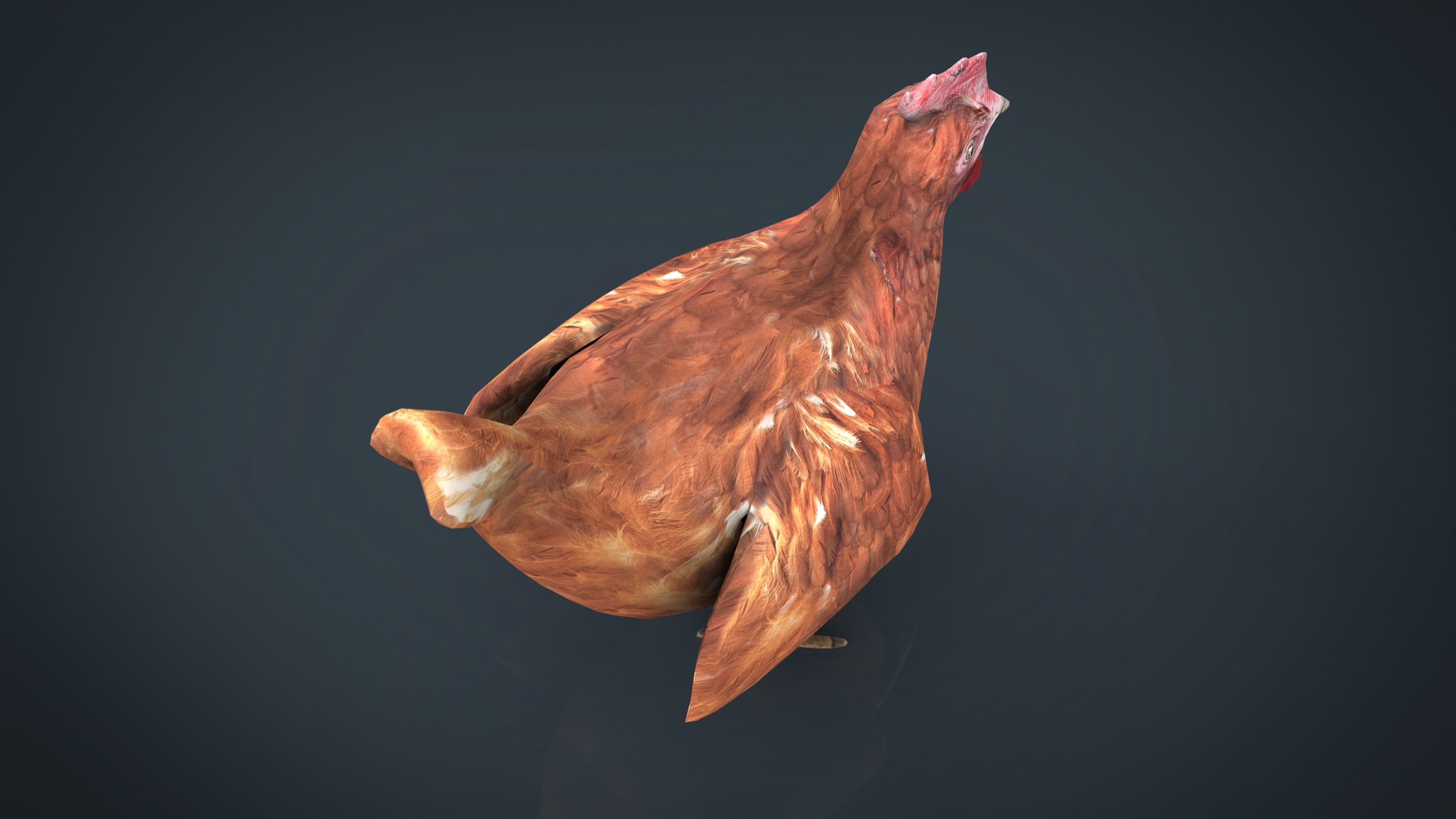Chiken rooster Low-poly 3D model_10