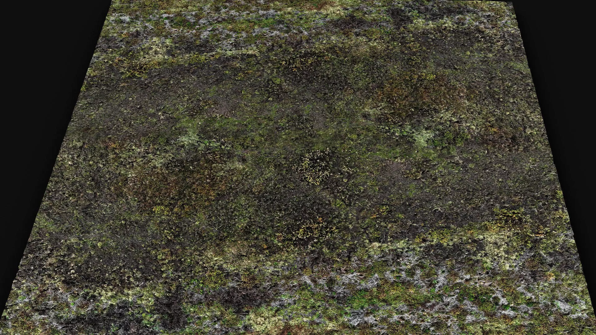 terrain ground grass bushes patch pt2 PBR photogrammetry Low-poly 3D model