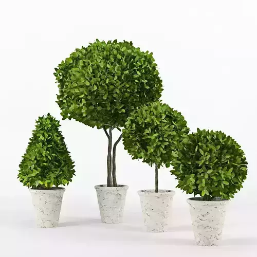 Collection of plants