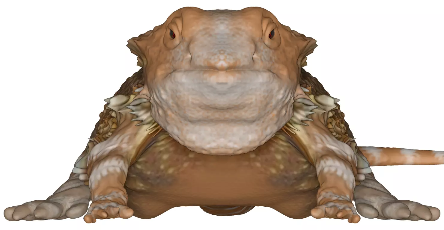 lizard 3D print model