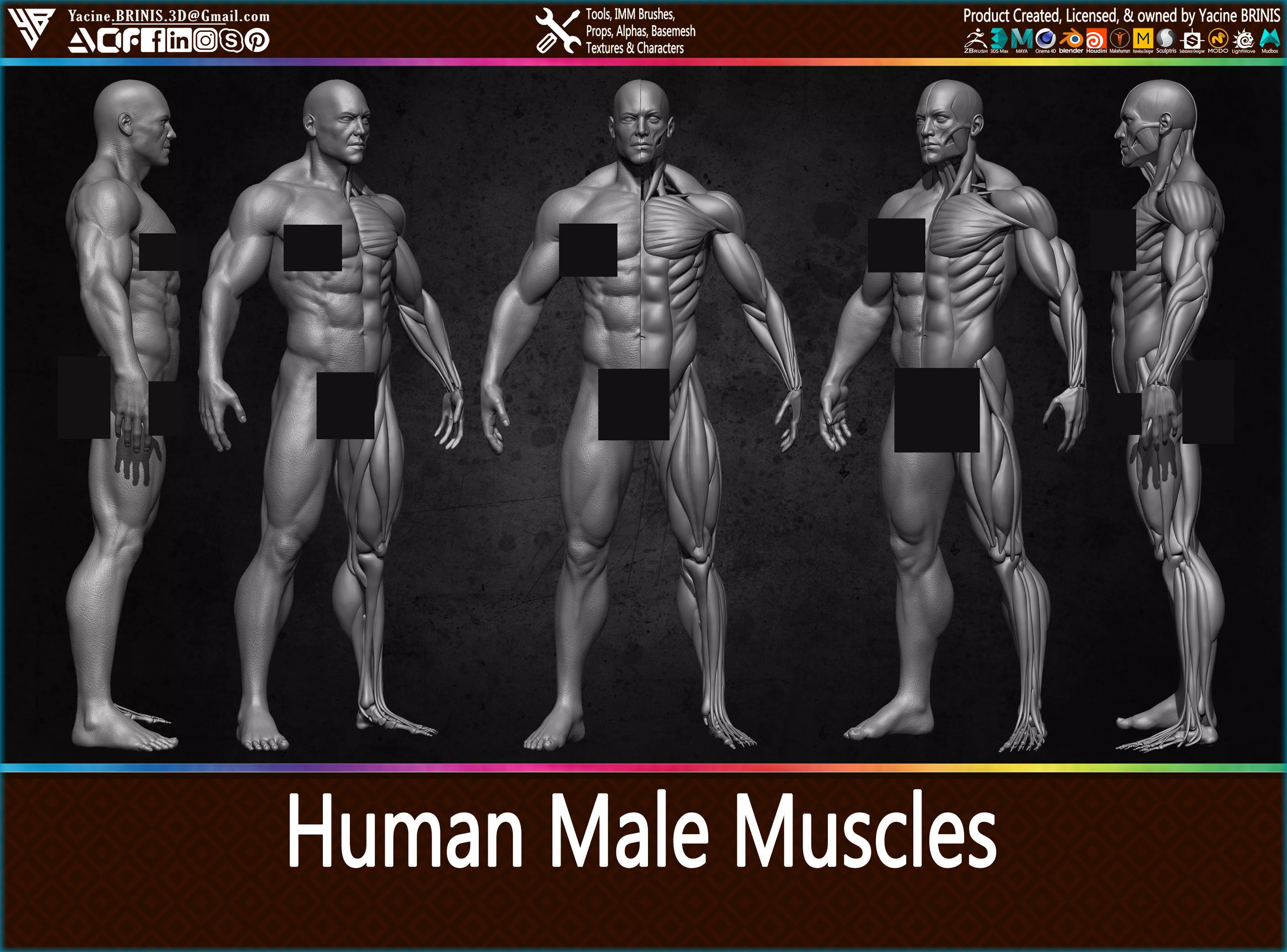 Highly Detailed Human Male Muscles Low-poly 3D model