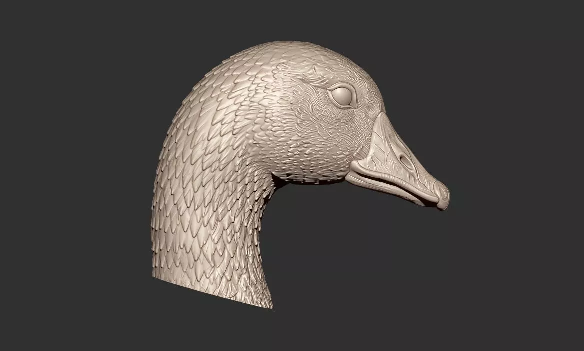 Realistic Goose Head STL 3D Printable Model 3D print model