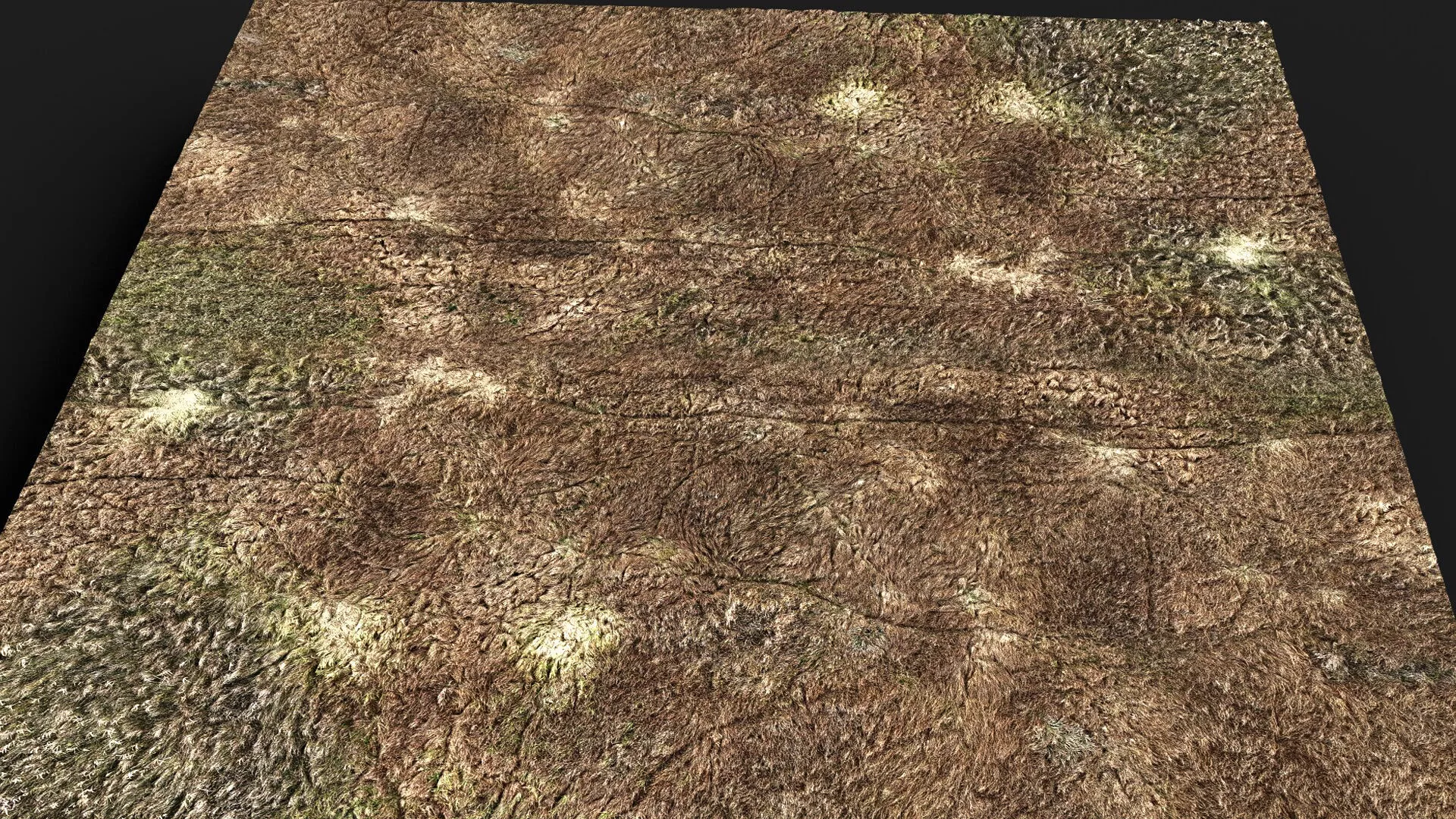 terrain ground grass bushes patch pt3 PBR photogrammetry Low-poly 3D model