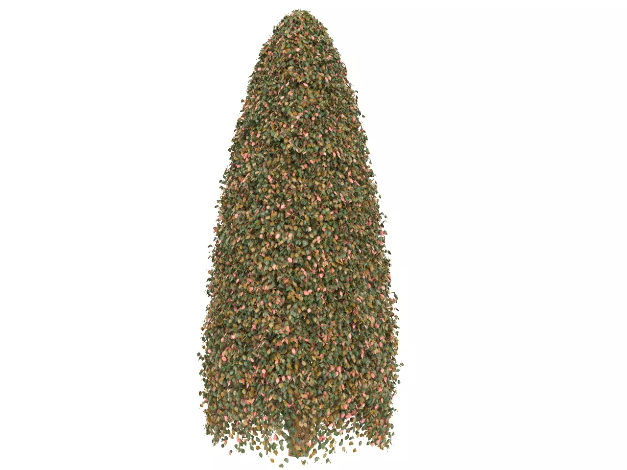 NMA Bush 002-5 Low-poly 3D model