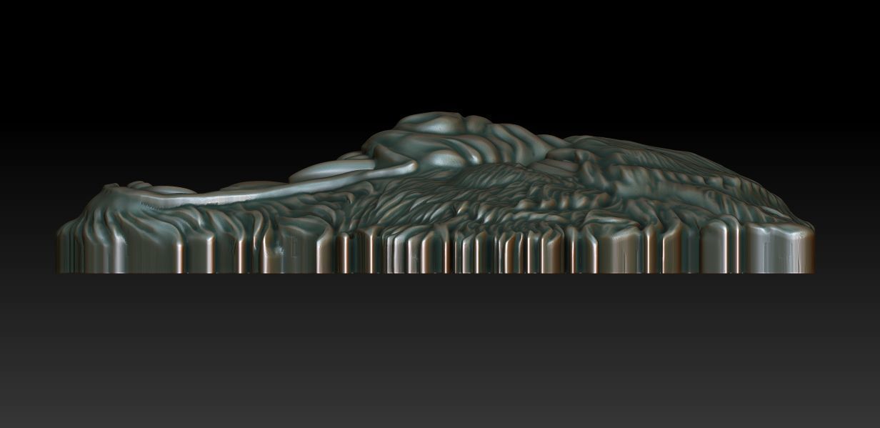 Wolf head 3D print model_5