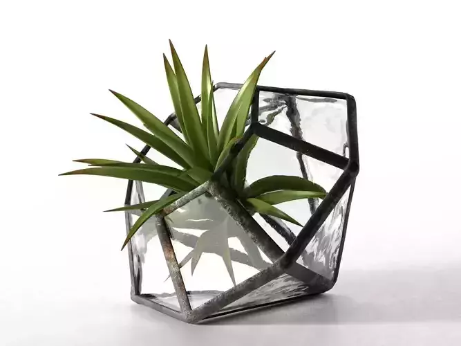 Terrarium Water Glass Diamond