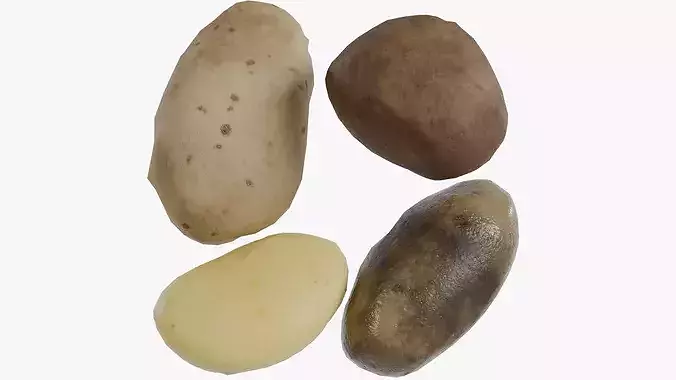 Potato