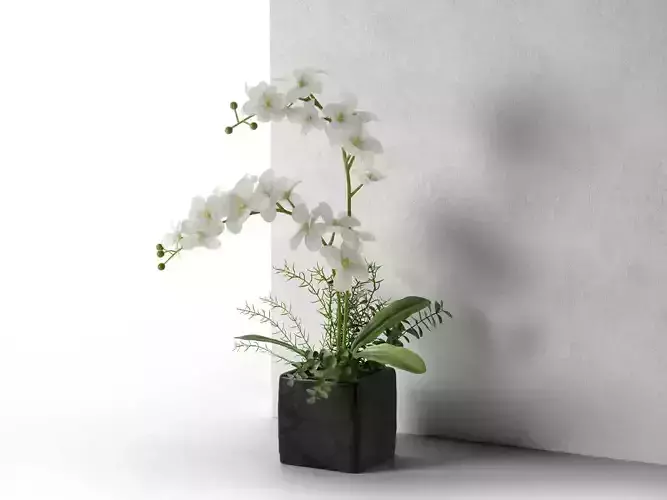 Orchid in Cube Pot 3D model