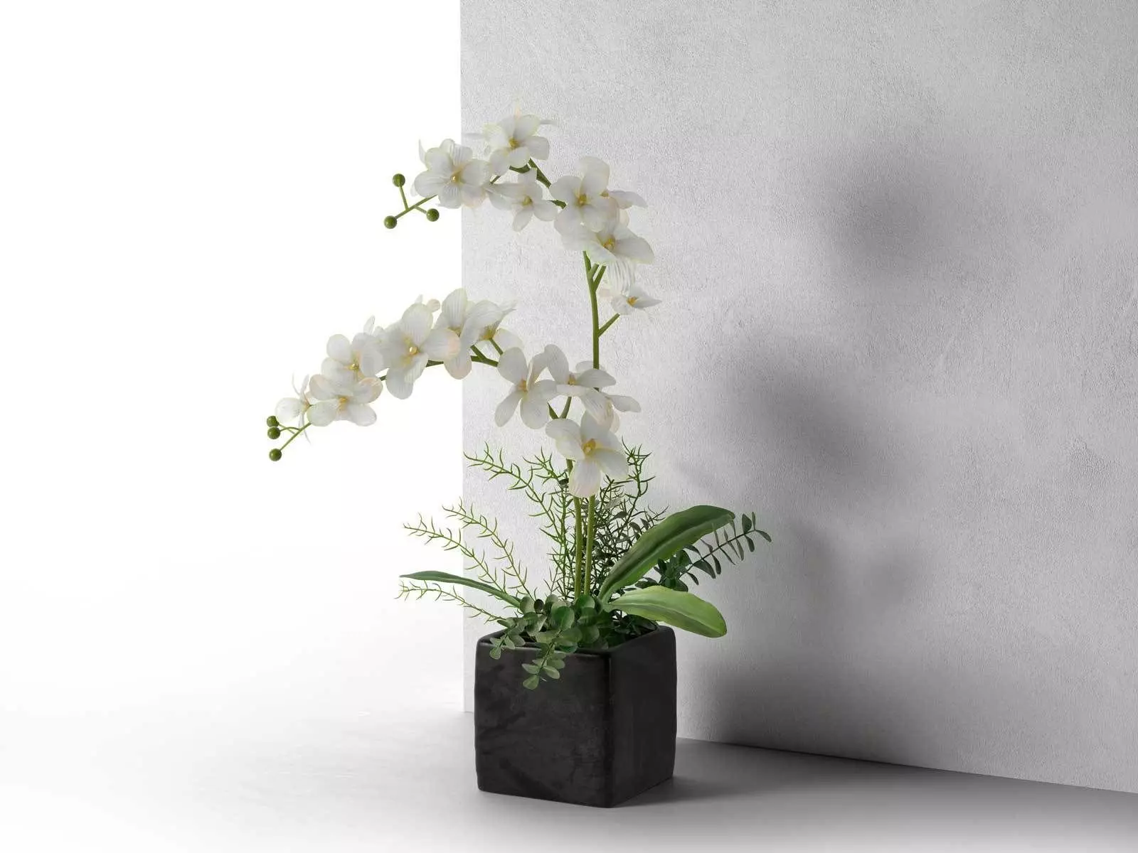 Orchid in Cube Pot 3D model_0