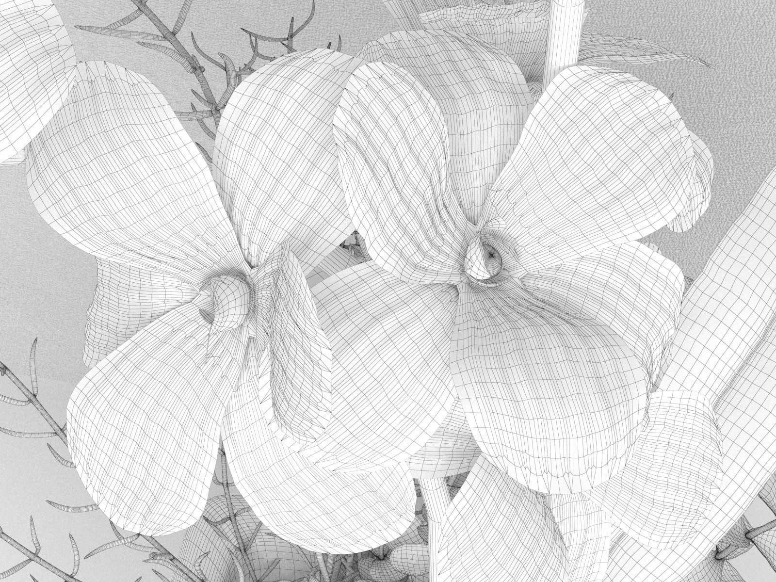 Orchid in Cube Pot 3D model_3