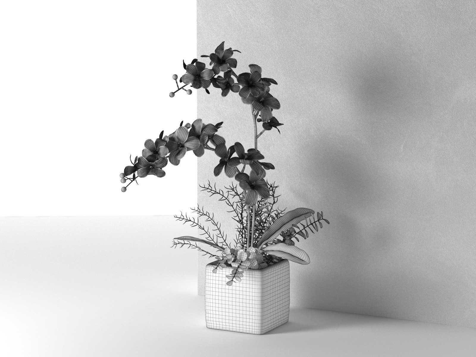 Orchid in Cube Pot 3D model_1