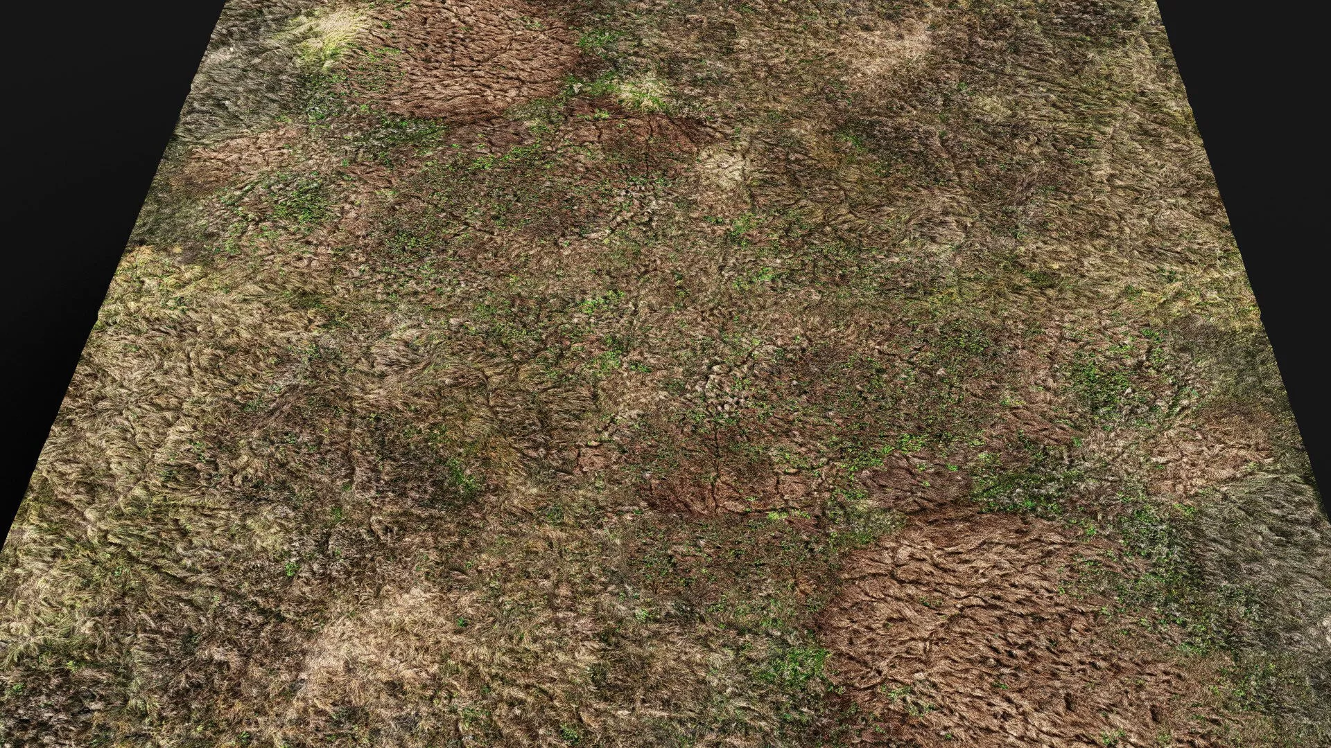 terrain ground grass bushes patch pt4 PBR photogrammetry Low-poly 3D model