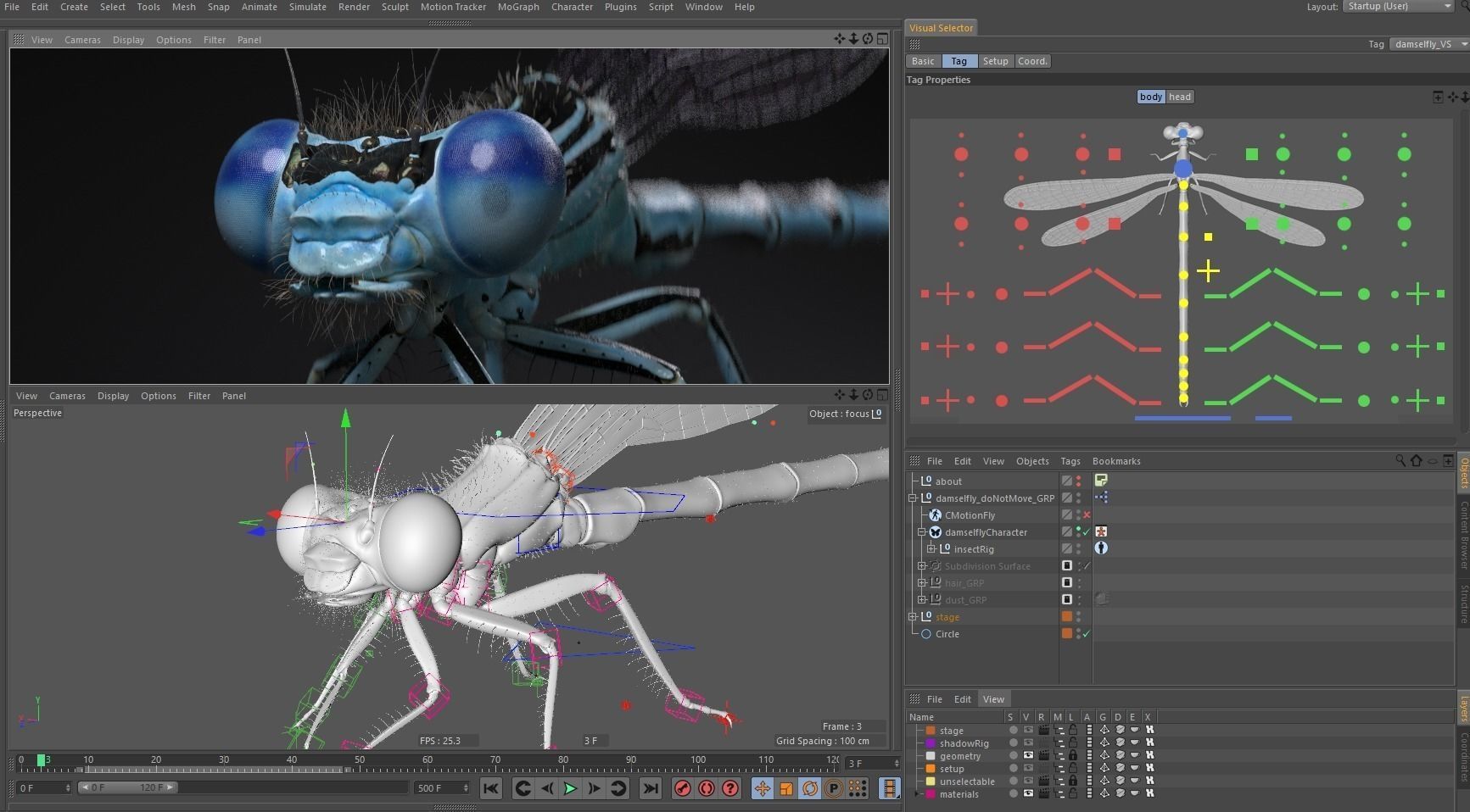 Damselfly rigged and animated for Cinema 4d 3D model_8