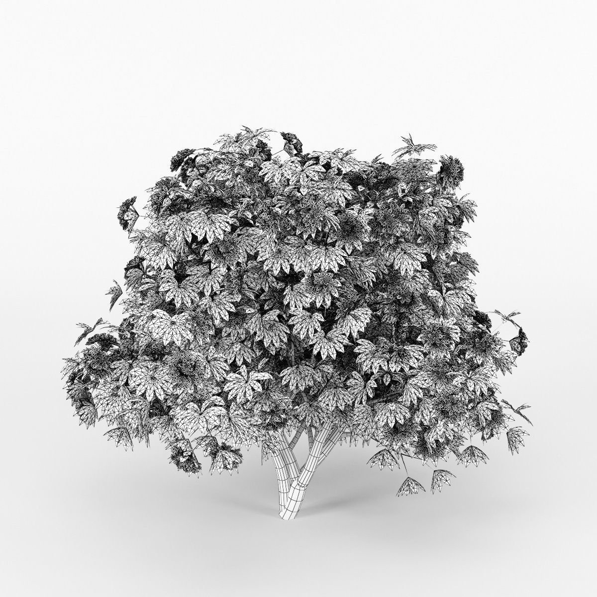 Rhododendron tree with flowers 3D model_3