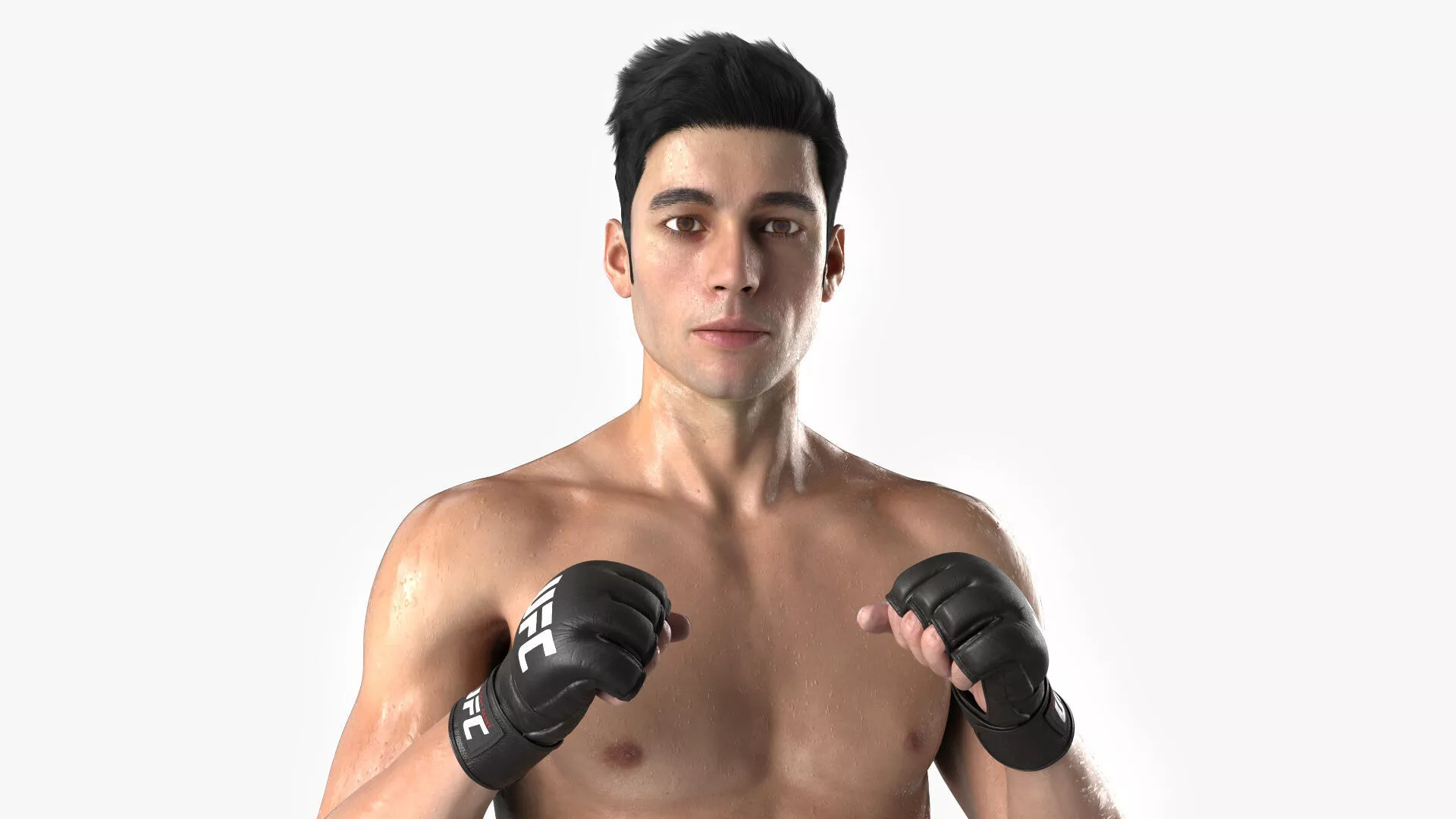 Fighter UFC MMA in Combat Stance Sweaty Fur 3D model