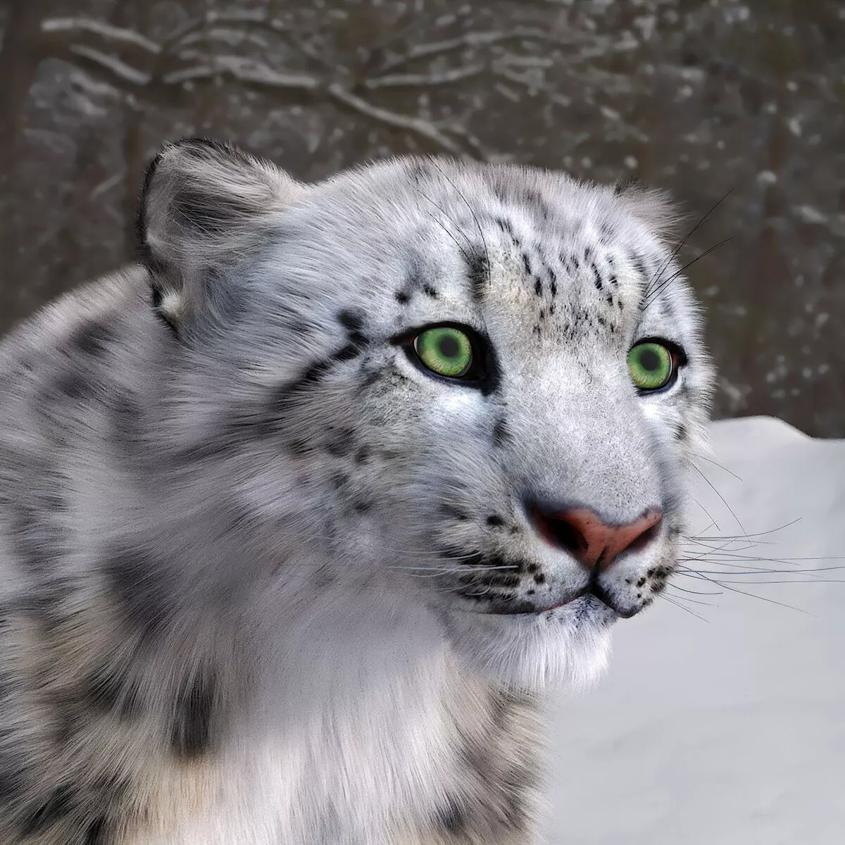 Snow Leopard Fur 3D model