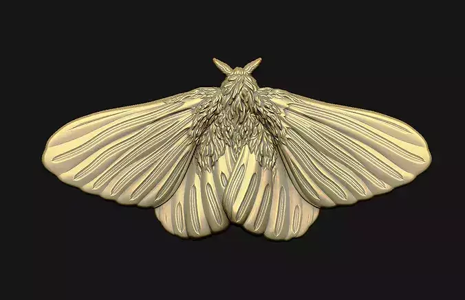  insect bas-relief relief-sculpture 3d-print relief-sculpture