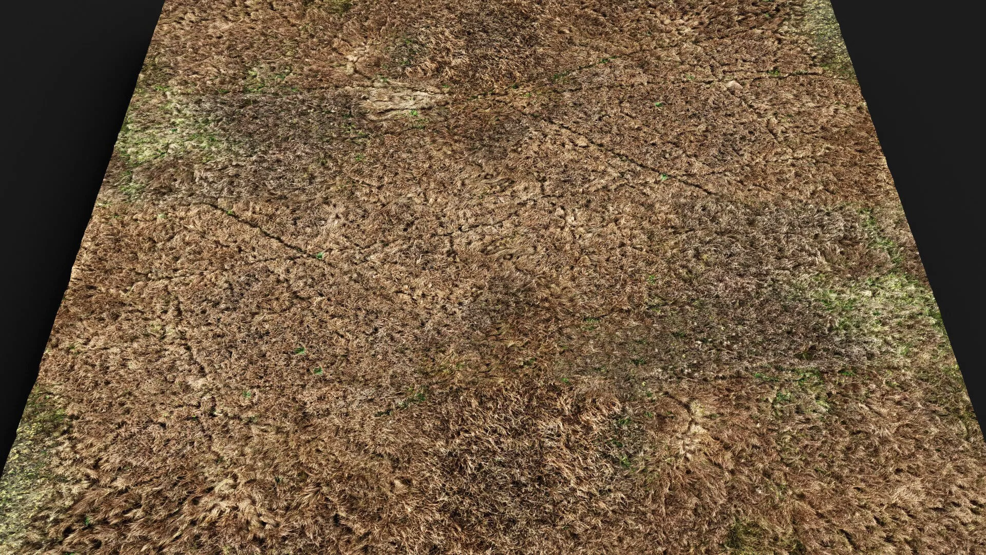 terrain ground grass bushes patch pt5 PBR photogrammetry Low-poly 3D model
