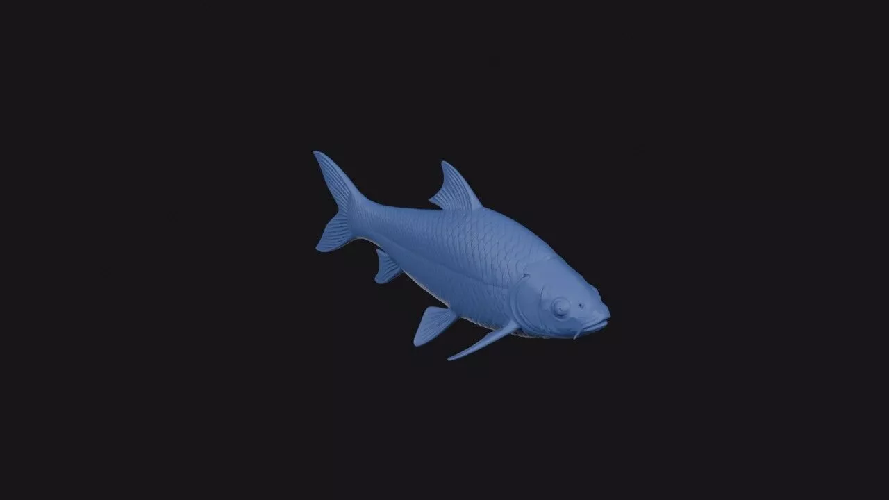 Julliens Golden Carp 3D print model