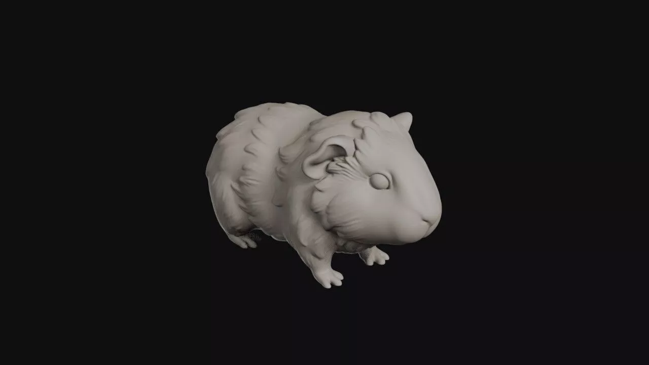 Cartoon Guinea Pig 3D print model
