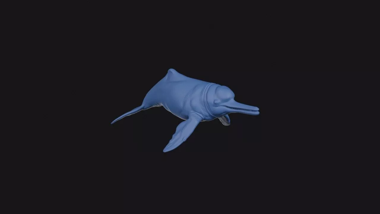 Ganges River Dolphin 3D print model