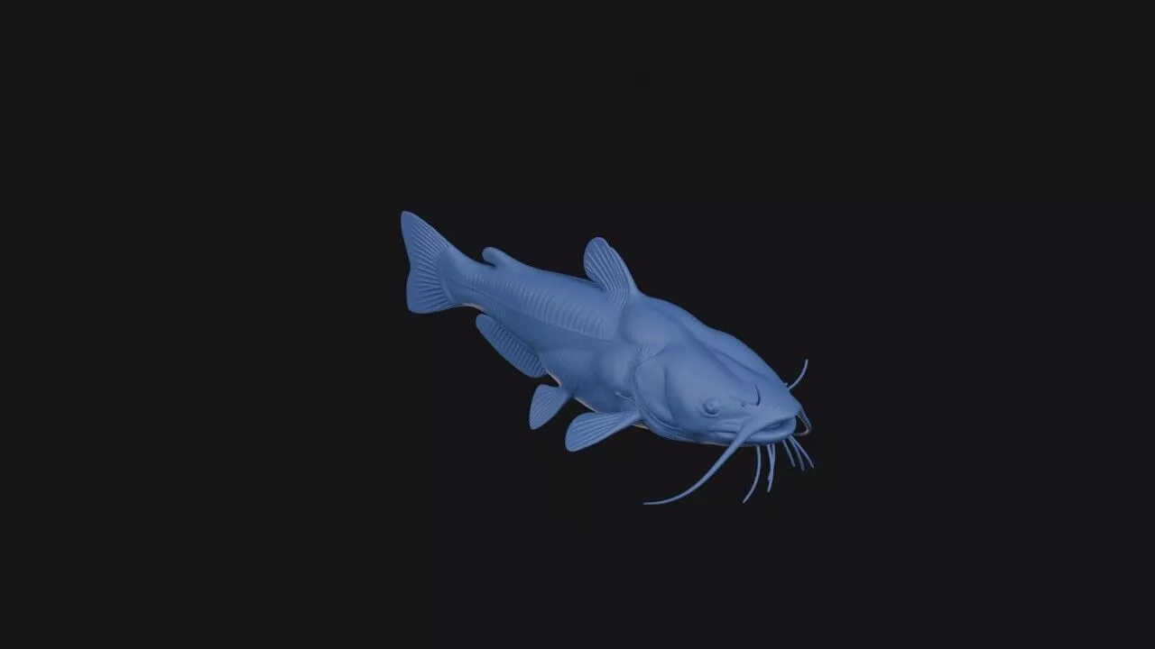 Flathead Catfish 3D print model