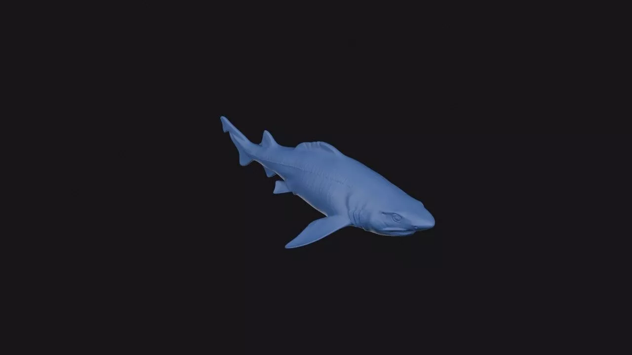 False Catshark 3D print model