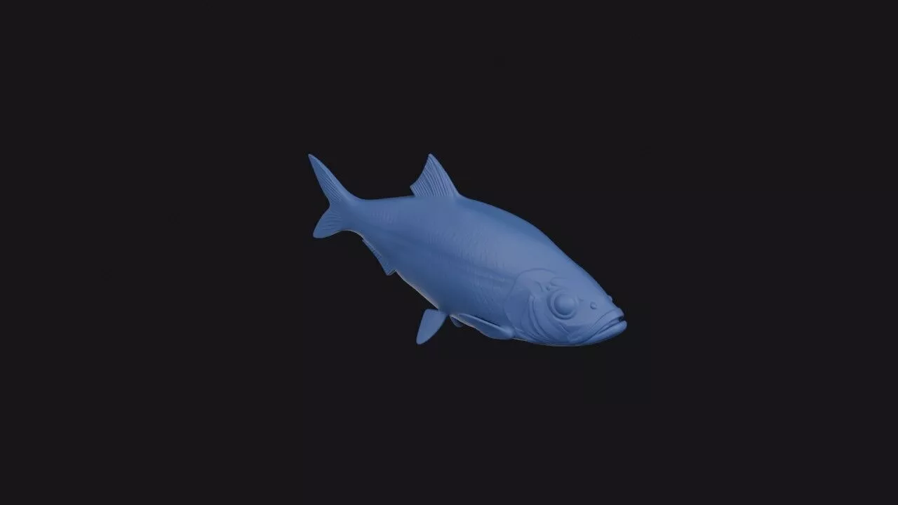 European Sprat 3D print model